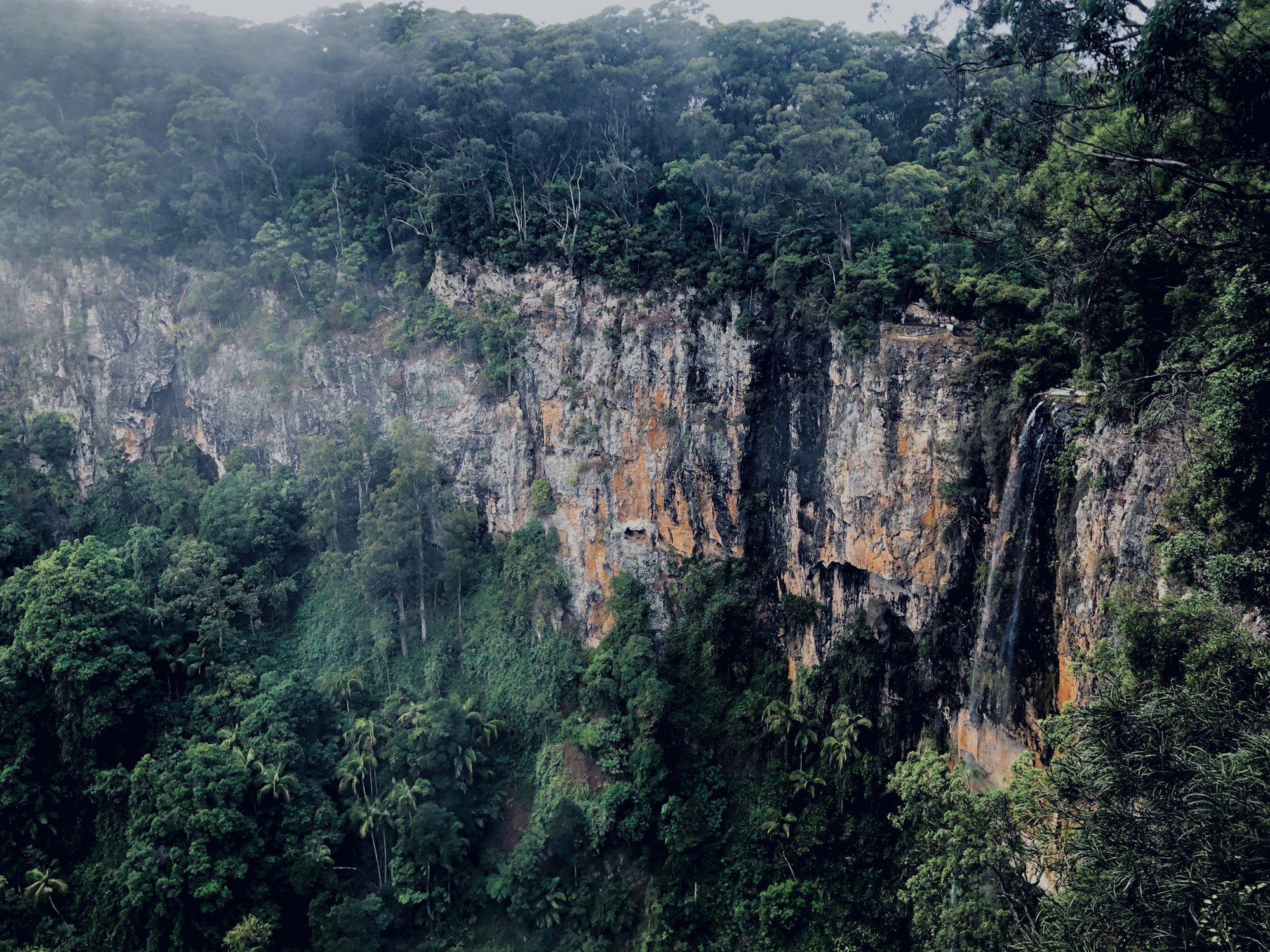 Waterfalls spilling off the cliffs of Springbrook National Park