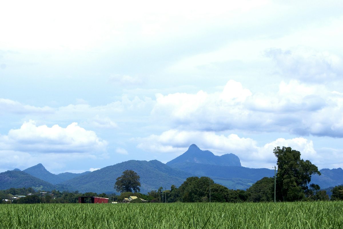Green farmland below Wollumbin and the ranges of the Tweed Valley