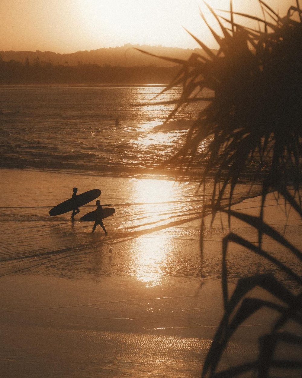 Two surfers carrying their boards along the beach at sunset, framed by pandanus
