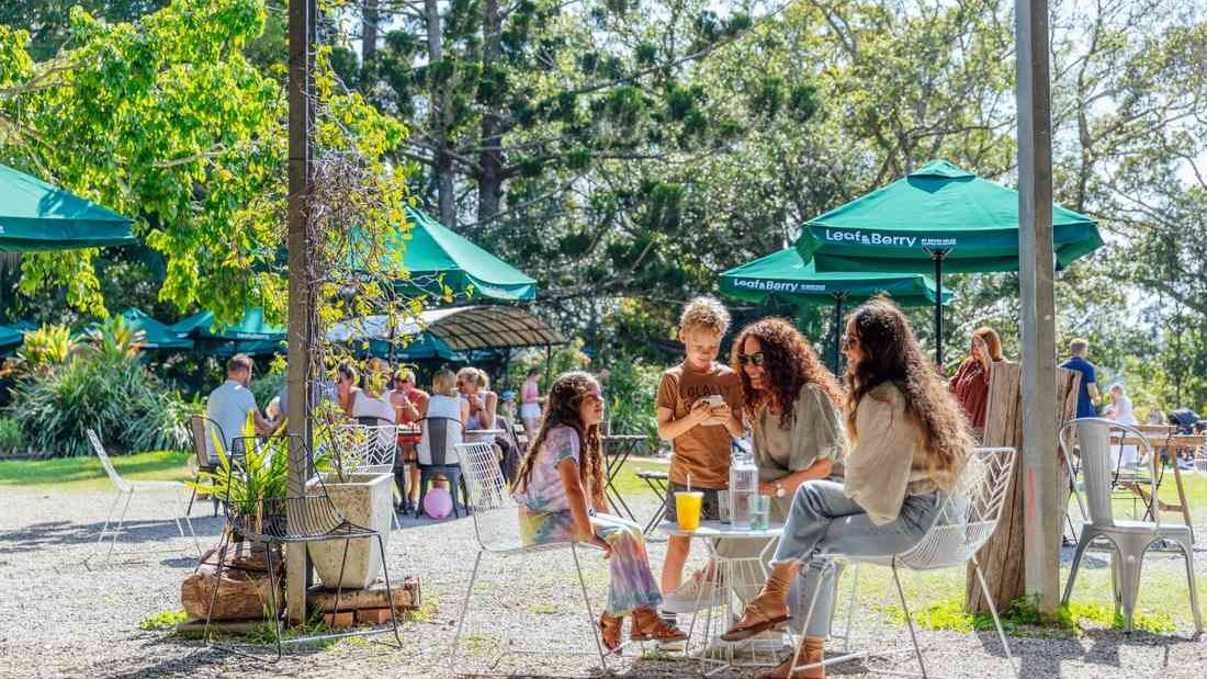 People at garden tables under green umbrellas at Pasture & Co
