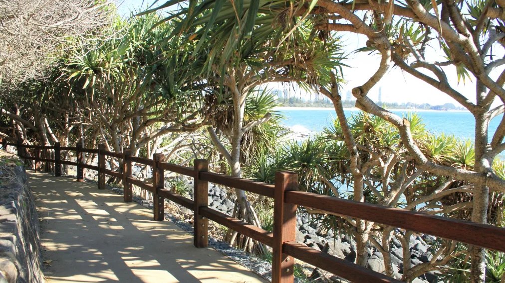 The boardwalk under pandanus trees on the Burleigh headland walk