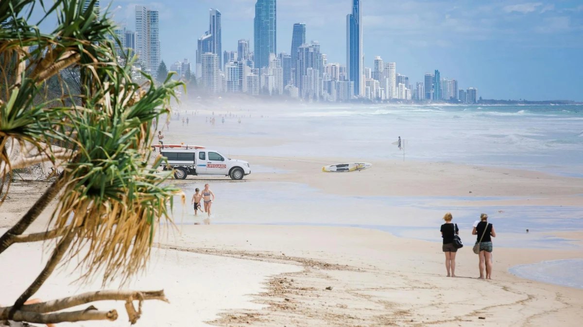 Pandanus at the edge of Nobby Beach, with the Surfers Paradise skyline behind
