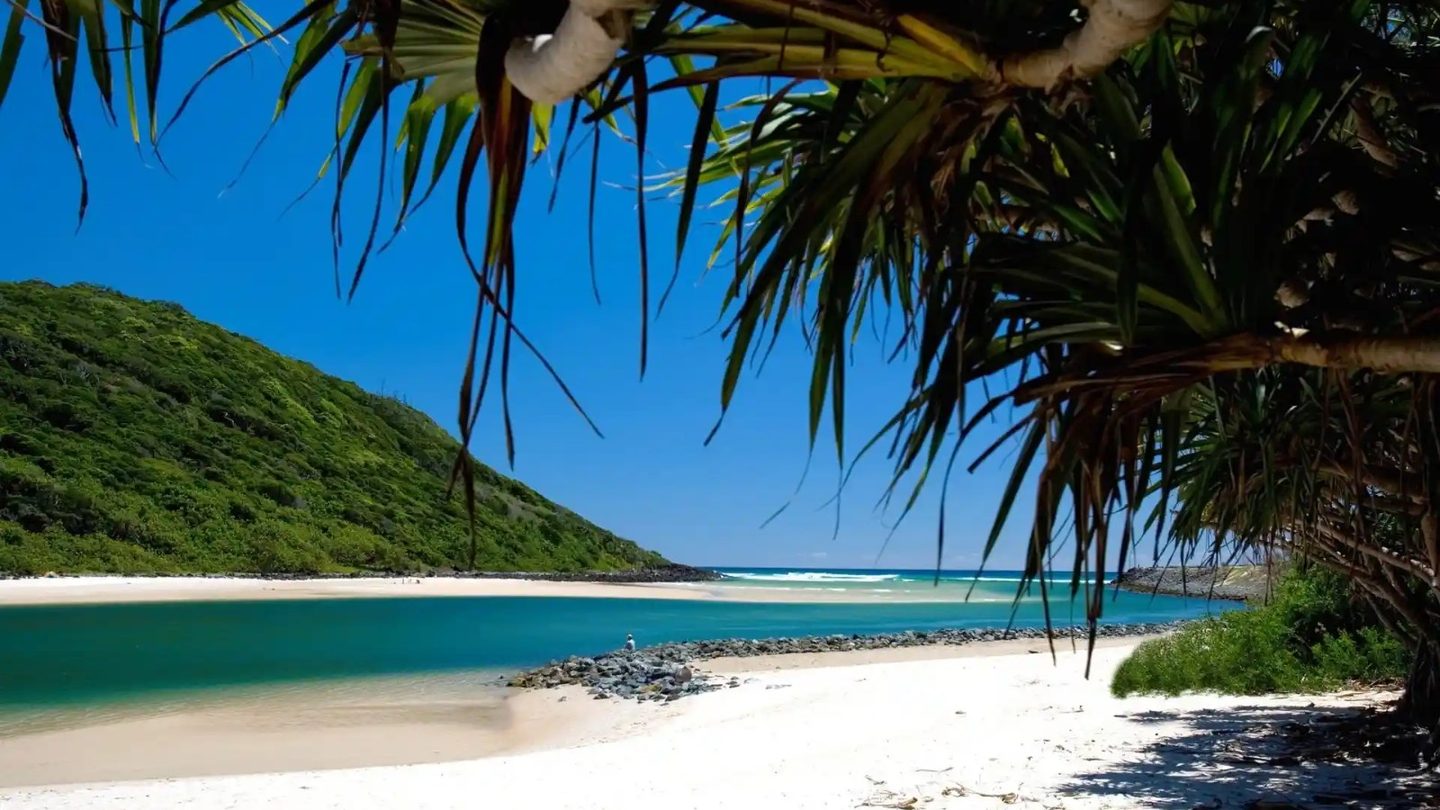 Turquoise water at Tallebudgera Creek, framed by pandanus palms
