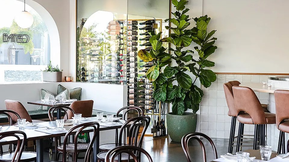 Bar Leo's dining room, with a wall of wine and bentwood chairs